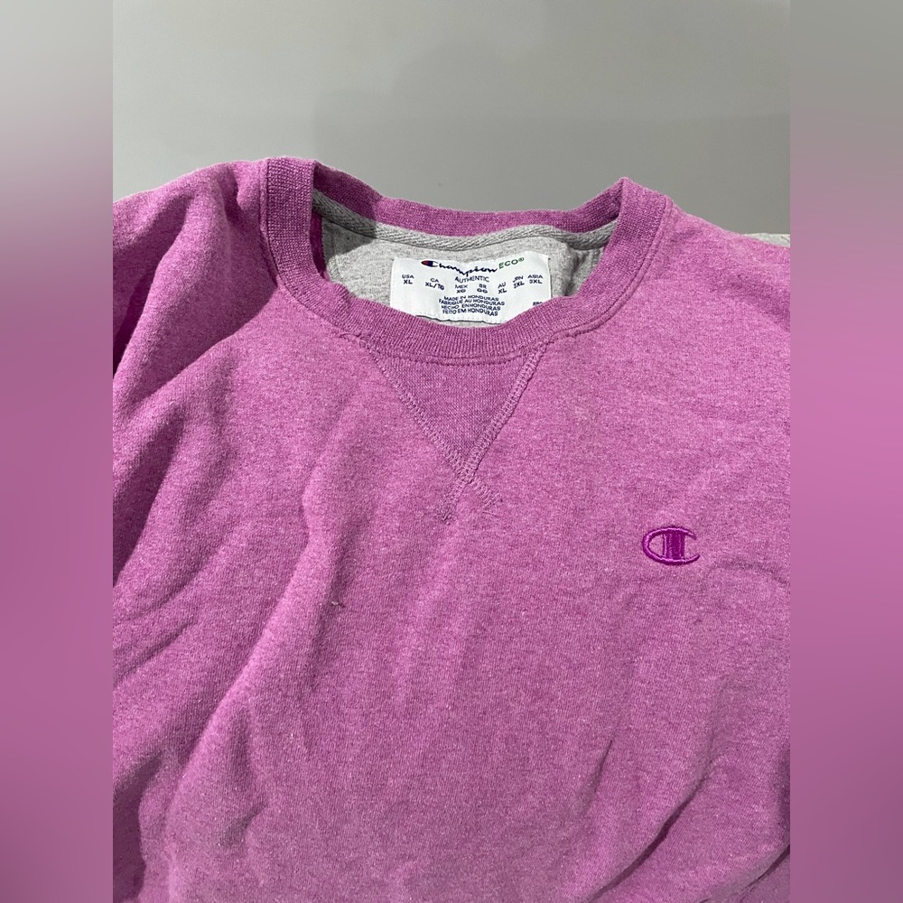 Champion sweatshirt